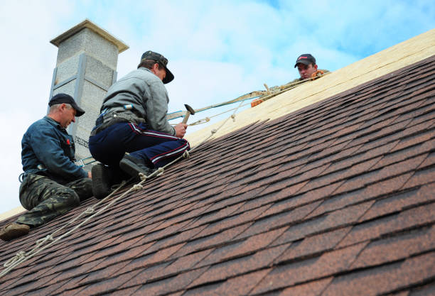 Best Roof Gutter Cleaning  in Yacolt, WA